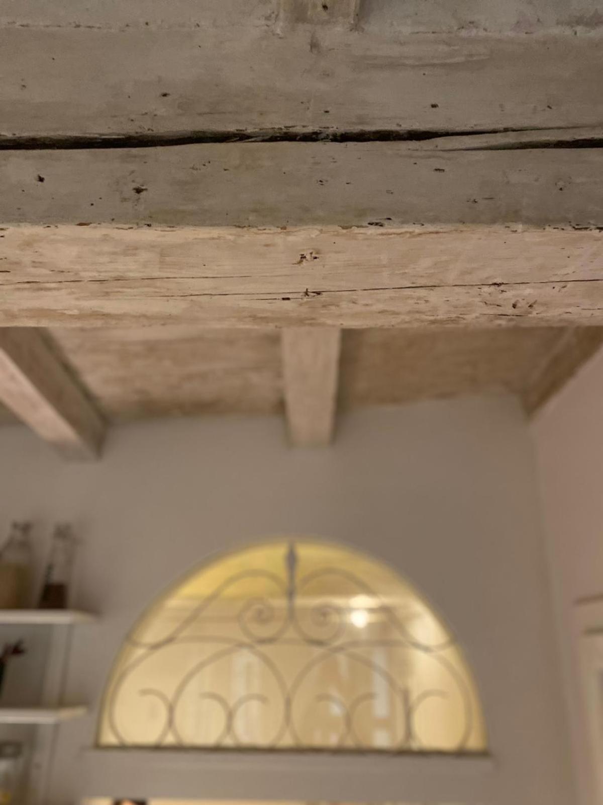 Casina Centotrecento-Romantic & Quite Apartment- 볼로냐 외부 사진
